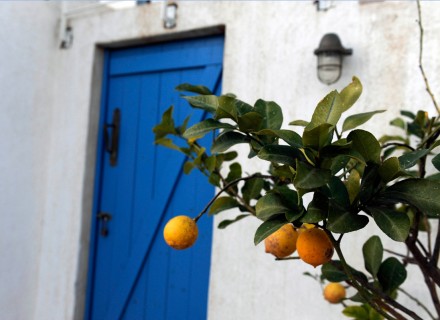 Sternberg house-project-25